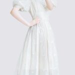 MeetMetro Bubble Sleeve Embroidered Mesh Dress