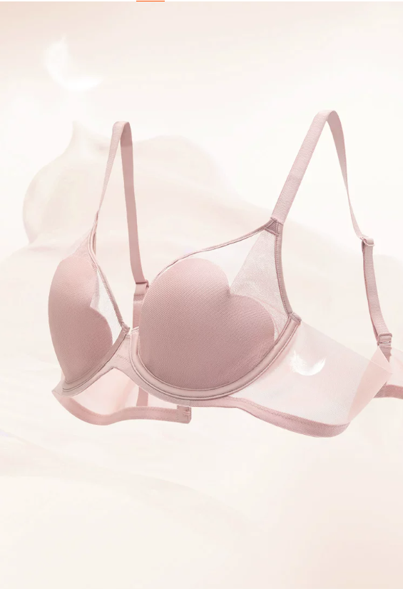 Fashionable ultra-thin mesh bra underwear bra Fashionable ultra-thin mesh bra underwear bra
