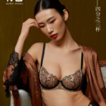Blue Embroidered Sexy Ultra Thin Underwear Women's Collection Accessory Anti sagging Bra